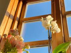 딱히 신경이 쓰이는 건 아닌데 Epilogue