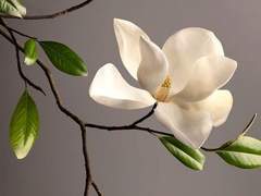 봄날의 바람이 부는 어느 곳