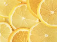 [라모나 | 26 | 여 | 패션모델]