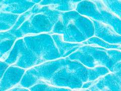 호열백호 - 빈 칸