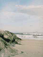 별세는밤 (완결)