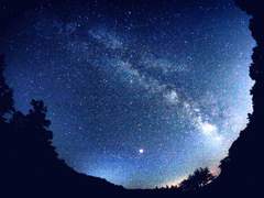 차일게뻔한, 그런 고백로그