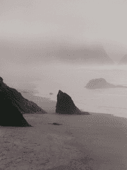 프란 케론트비나