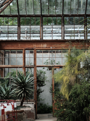 잿더미 속 남은 것은