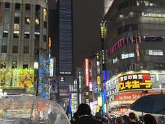 가부키쵸 왔어요