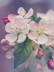 어릴적 이야기, 주인공의 신상정보