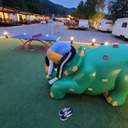 황금독수리온세상을놀라게하다