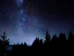 영원과 종장. 그 이후의 이야기(1)