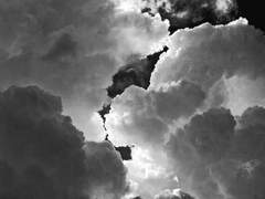 영원과 종장. 그 이후의 이야기(2)