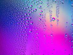 ICP 연구소 AU_ 캐프로필