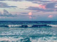 나비가 내지르는 비명(고해)