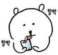 엔시티 나페스 추천