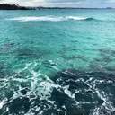 - 재활훈련 중입니다 -