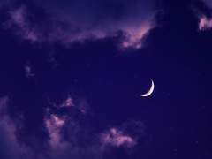 도검난무 드림 미카사니 미카즈키 드림 [사랑받고 미워하고 미움받고 사랑하는] - 하편