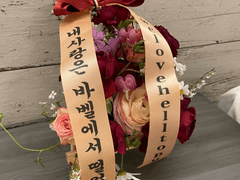 재도온4 다녀옴