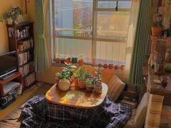 대만해나 동거 타로