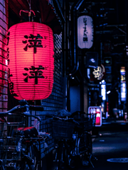 문스독에트립해버렸