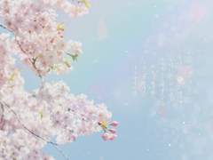 폰 배경 / 이 계절의 꽃