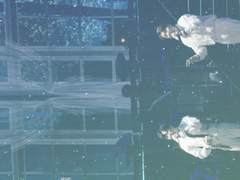 폰 배경 / 숲의 노래 MV