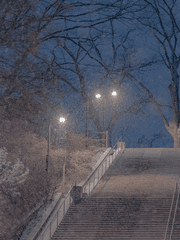 눈은 찬연한 별의 부스러기일지니