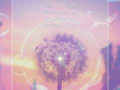 폰 배경 / PITTA 배경