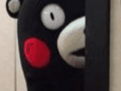 창귀가 된 서방님 공지..🌟