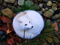 에어컨 없는 회사에서 탈출하라 上 [문스독 드림]