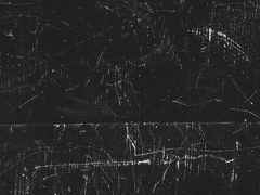 슬기로운 좀비생활(13)