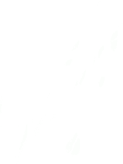 사이드미러 접고 운전하기