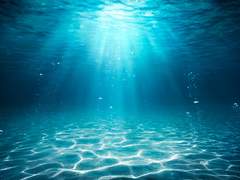 바다에 빠져 죽은 사람의 수는 셀 수도 없다더라.