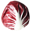 radicchio