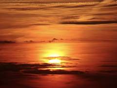 이 감정에 이름을 붙인다면