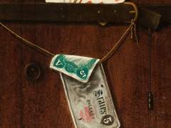 10. 생크림 묻은 돈