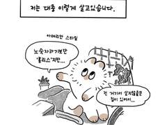 20대 노숙자 만화 - 차량노숙