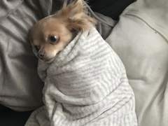 생활이 빠듯해요