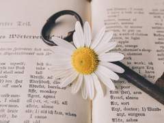 [백호열] 나의 꽃말