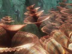 아바타 네테이얌 드림-B의 이야기 3