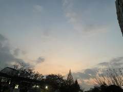 노을 및 황혼 모음 1