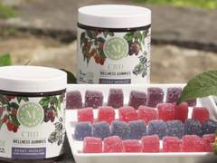 A Beginner’s Guide to Gummy Edibles: Understanding the World of THC-infused Candies