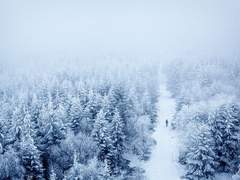 칸디데겔루 니그라스/드래곤/氷山의 주인, 전설 속 드래곤