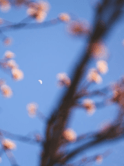 평범한 수험생이던 내가 당가의 여식?! 에엣! [화산귀환 드림]