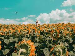 애니어그램 2번 '조력자'에게 잘 사는 법이란?