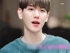 요즘 유행한다는 바퀴벌레 뭐시기