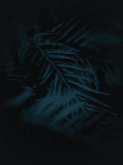 [도리벤_범천] 카톡 드림