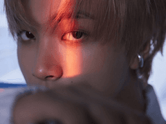 꽃 한 송이가 감히 벚꽃을 넘볼 수 있었을까