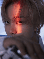 꽃 한 송이가 감히 벚꽃을 넘볼 수 있었을까