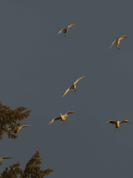 영웅윤리학개론