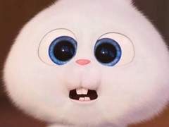 김씨 집안 막내 일상 구경하실? TALK 21