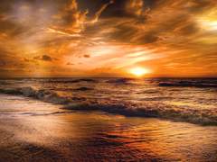 [센루] 스며듬과 잠식의 상관관계