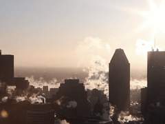 < 첫 번째 이야기, 새장 속의 새 >